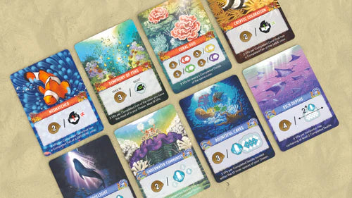Shallow Sea (Inglés)