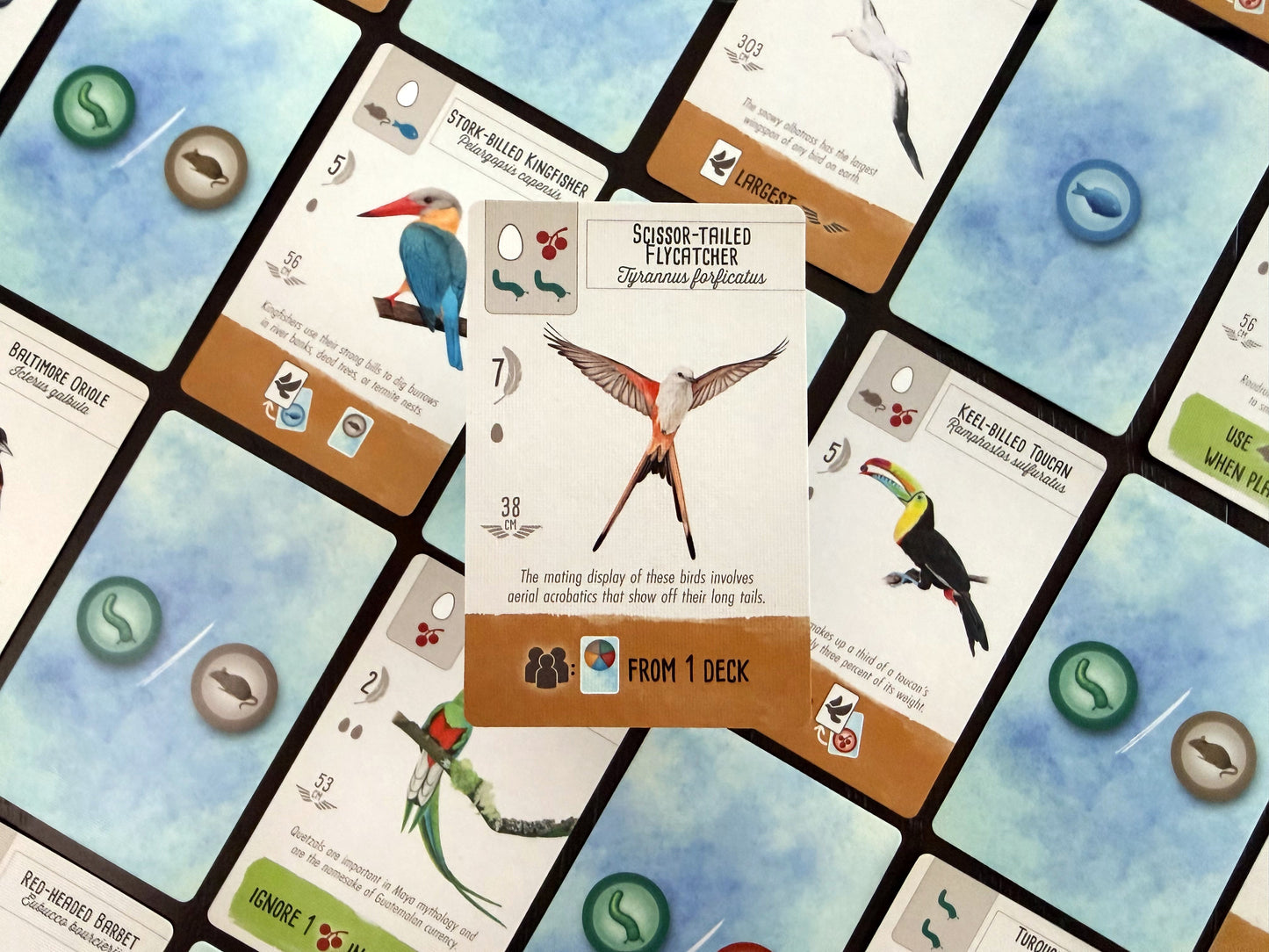PREVENTA - Wingspan Pocket