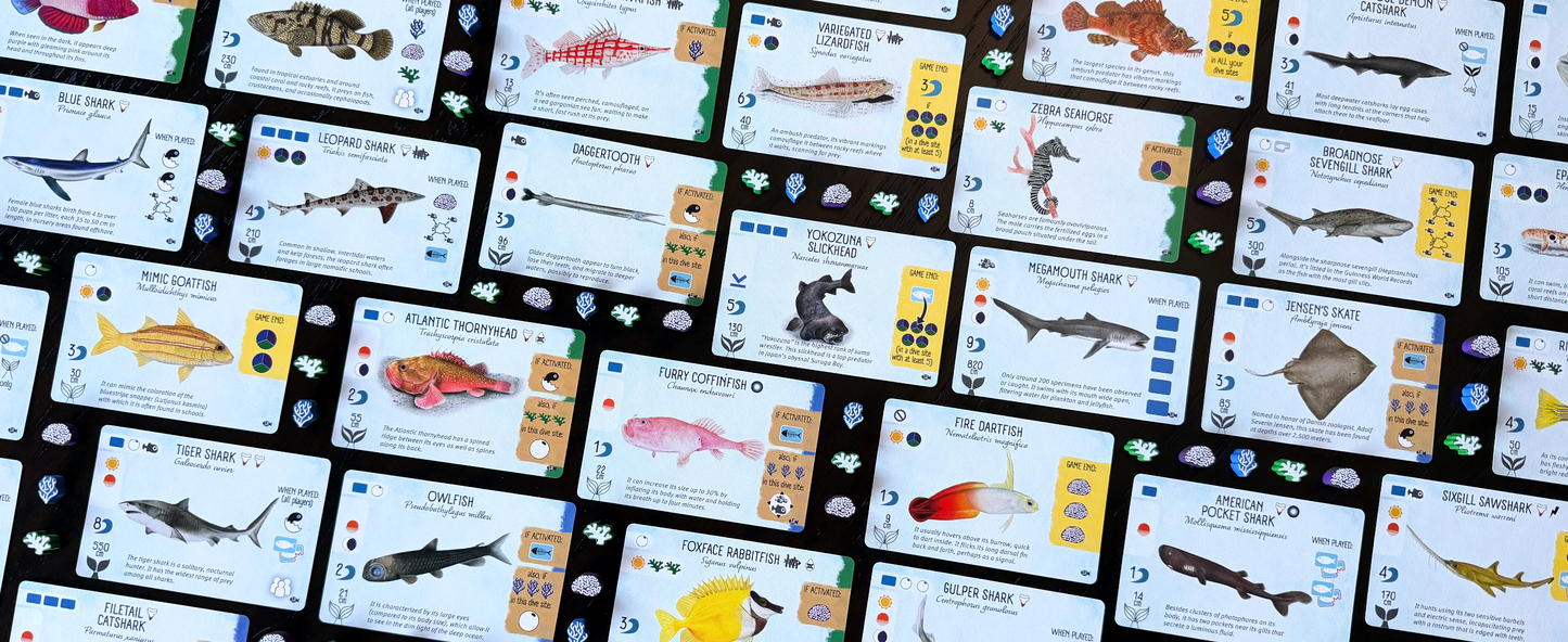 Finspan Sharks & Reefs
