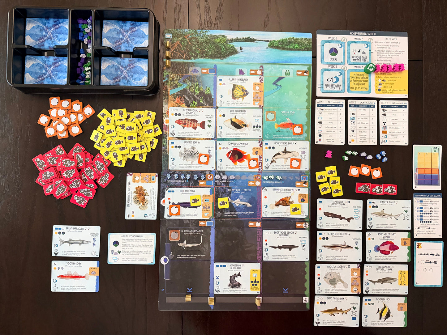 Finspan Sharks & Reefs