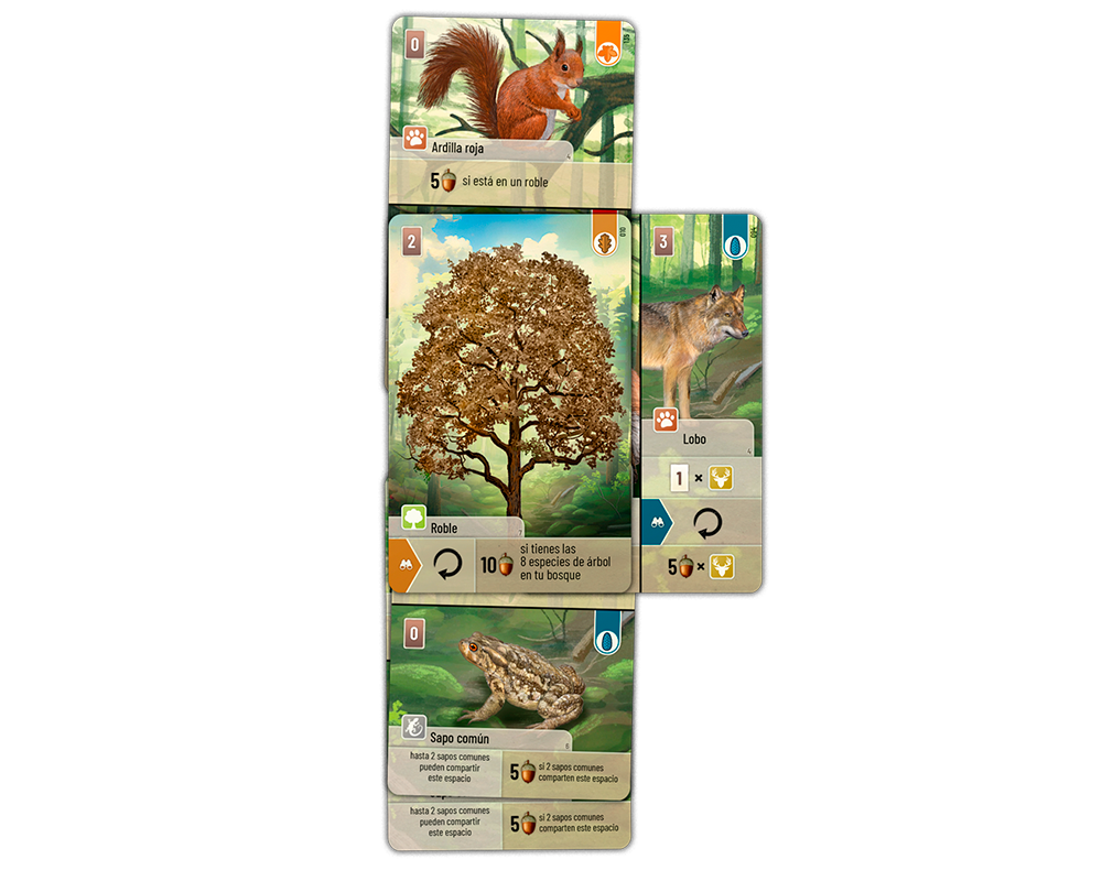 Forest Shuffle