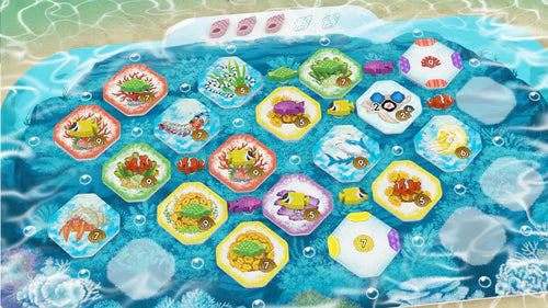 Shallow Sea (Inglés)