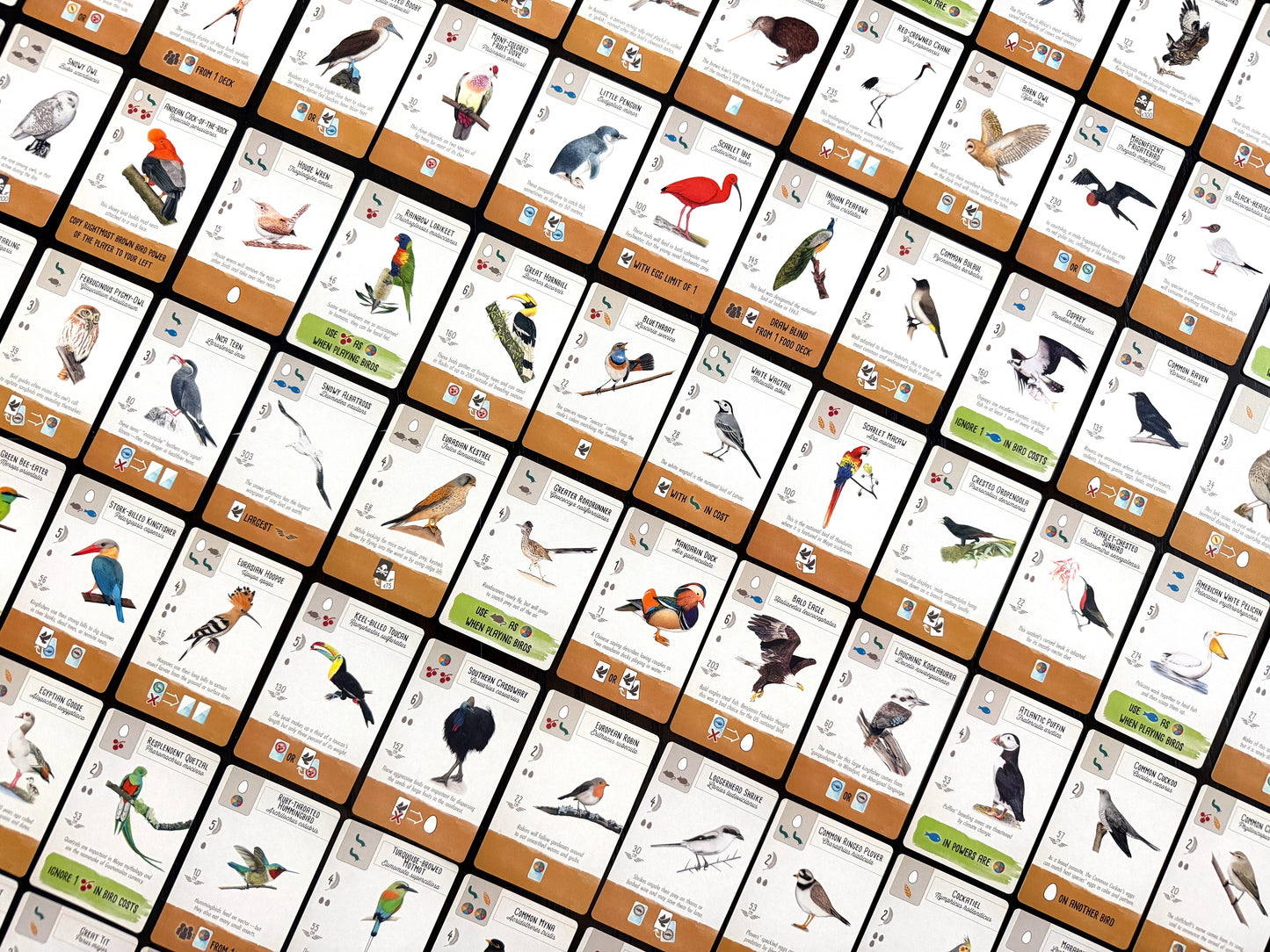 PREVENTA - Wingspan Pocket
