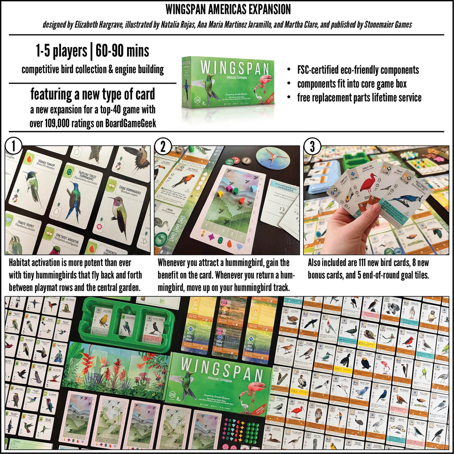 Wingspan Americas Expansion (Inglés)